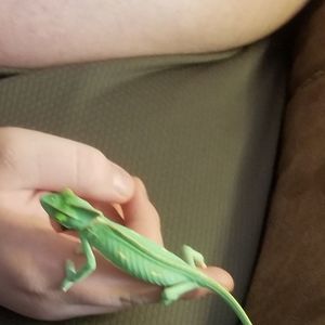 Meet your Posher, Malinda